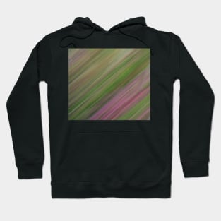 Summer Dance Hoodie